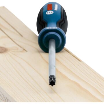 Bosch 1 600 A01 V09 Torx Tornavida Seti 6 Parça