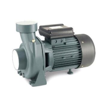 Rain Pump CPM170 Bahçe Pompası